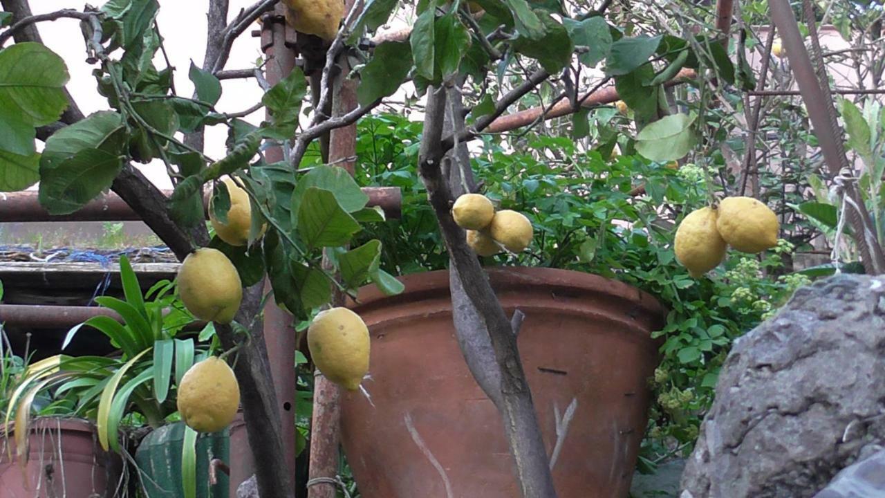 Appartamento Il Golfo e i Limoni La Spezia Esterno foto